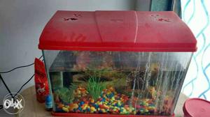 Aquarium with accessories like mountains,