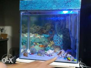 Aquaroum fish tank