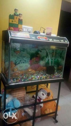 Big fish tank with fishes, stand and motor.