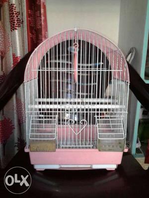 Birds cage 3 months old