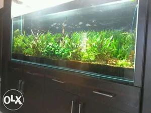 Black Wooden Framed Fish Tank