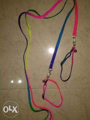 Cat collars with leash