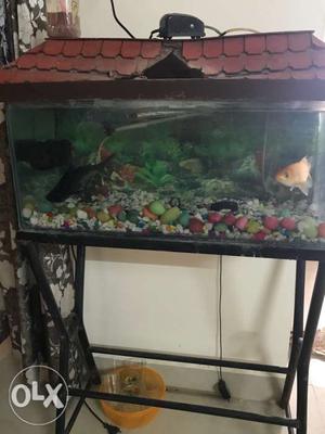 Complete fish Aquarium with stand fixed price