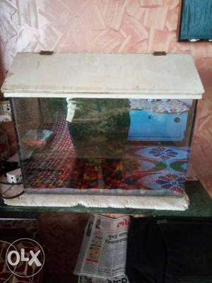 Fish Tank With White Frame