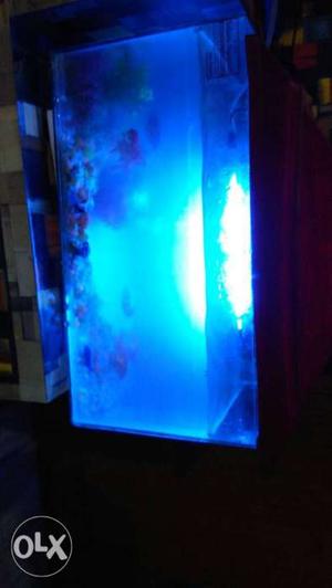 Fish aquarium with 6 fishes, oxygen pump,water