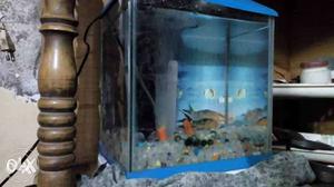 Fish aquarium with filter, oxygen pump,Marvel's