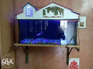 Fish tank 8 kg stone 0ne 2in1 air pump one air