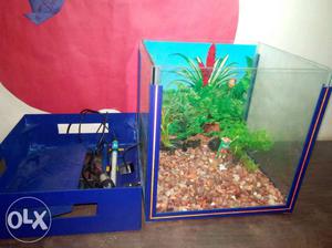 Fish tank as good as new is for sale at throw