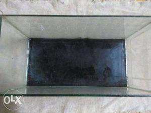 Fish tank in amazing condition