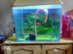 Fish tank with screen