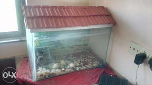 Fish tank with stones 2feet