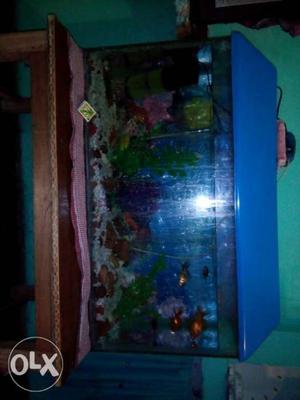 Full comlete aquarium for sell