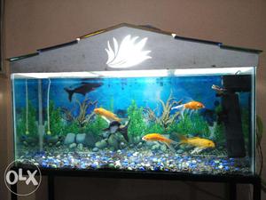 Gud Quality aquarium for sale 3 feet with stand and Fish