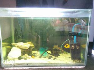 It is a huge fish tank with 3feet length, 2 feet