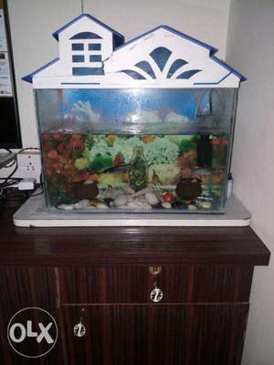 Its a nice aquarium in a good condition with all
