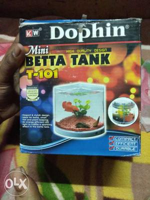 Mini beeta fish tank