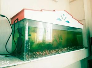 New fish tank immediatly to sell