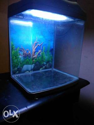 Sliver frame fish tank with kit