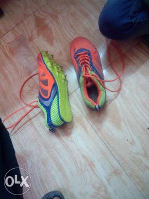 Brand new running shoes/spikes
