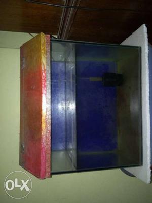 1.25ft tank,with blue wallpaper,white light an