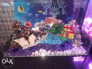 1.5 feet tank with stone background without cover