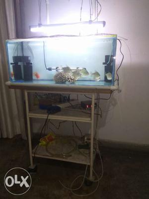 2.5 ft x 1 ft x 1ft aquarium with 8 doller fish