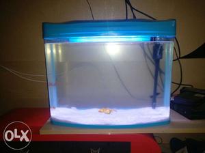 Acrylic Fish Tank With Blue Frame 2days used