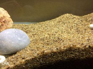 Aquarium Substrate- Sand Stone (Balichala Pathor)