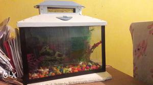 Aquarium, White and blue with colorful pebbles