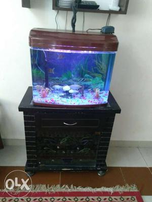 Aquarium with all accessaries and wooden tabll