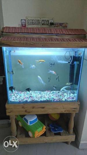 Big fish tank sale with all fishes and accessories