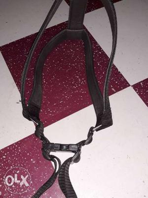 Black large 1.25 inch dog new harness