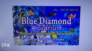 Blue diamond aquarium lakulesh complex Nijam Pura