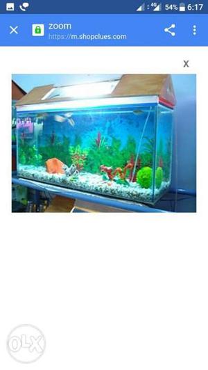 Complete fish aquarium with green mat, pump and