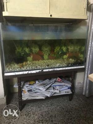 FISH TANK AND TABLE. 3ft x 1.5ft x 1ft