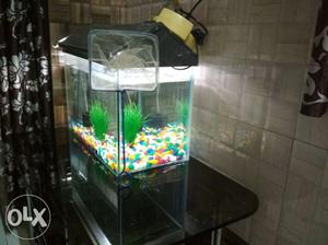 Fish Tank with oxygen machine, Filter, colour