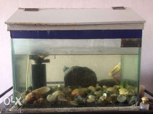 Fish Tank with roof cover, Filter and Oxygen machine,