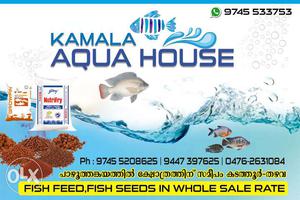Fish feed at whole sale Rate