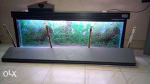Fish tank good condition with stand bottom wall