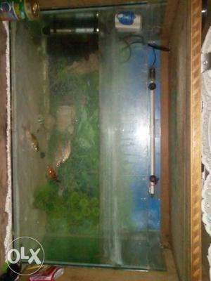 Fish tank length 2.6 hight1.6. ``