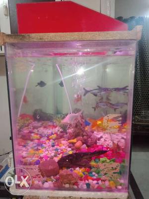 Fish tank set