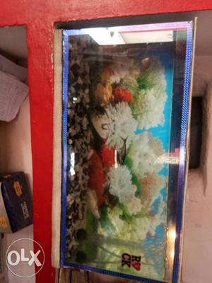 Fish tank with stones and pump and 5 fishes