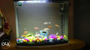 Fish tank with working motor and colourfull stones