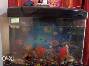 Fish water tank aquarium good condition