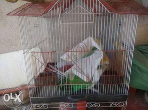 For Bird lover offer we have cage