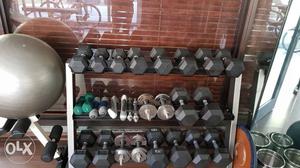 Free weights with stand