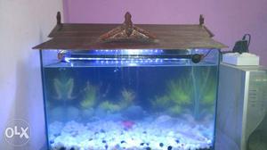 Full set of fish tank (stone., fishes, light, air
