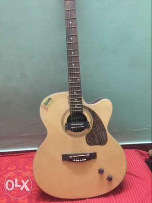 GIVESON GUITAR 20 days old unused no scratches price