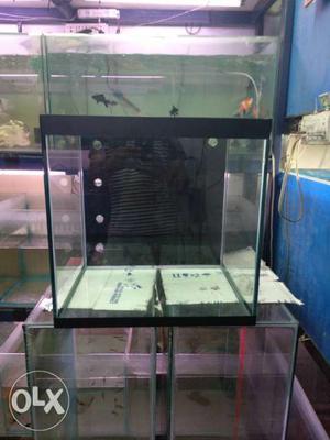 Marine tank for sale, all type of fishes, Marine