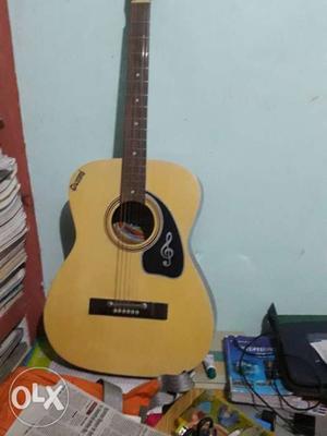 New guitar Givson with cover